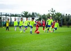 揭秘台灣運,從地下投注,到高賠率攻,万博manbetx体育平台,万博体育官网,万博体育app下载,ManBetX,SPORTS