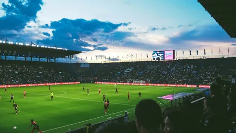 万博manbetx体育平台